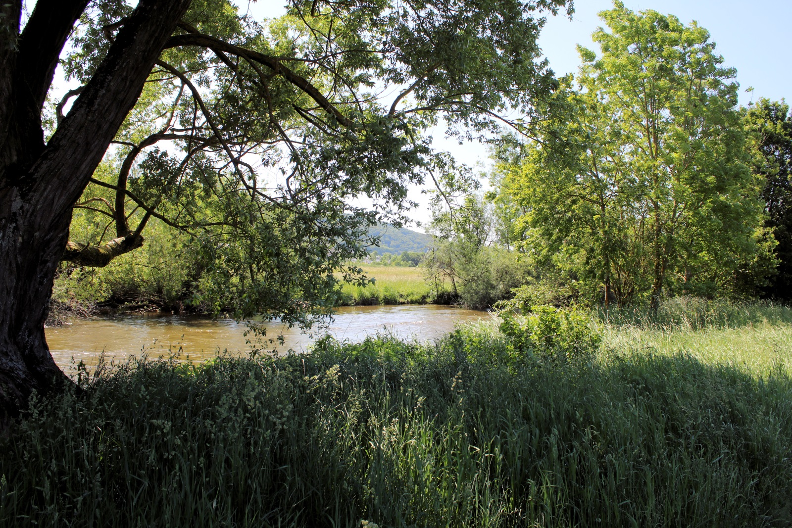 Schmelli Online Mein Wohnmobil Geocaching Und Ich Ein Stuck
