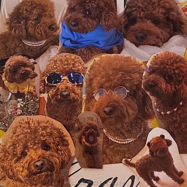 KEEBOMB – You Made My Day – Single