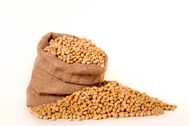 Positive and Negative effects of soy protein and soybean