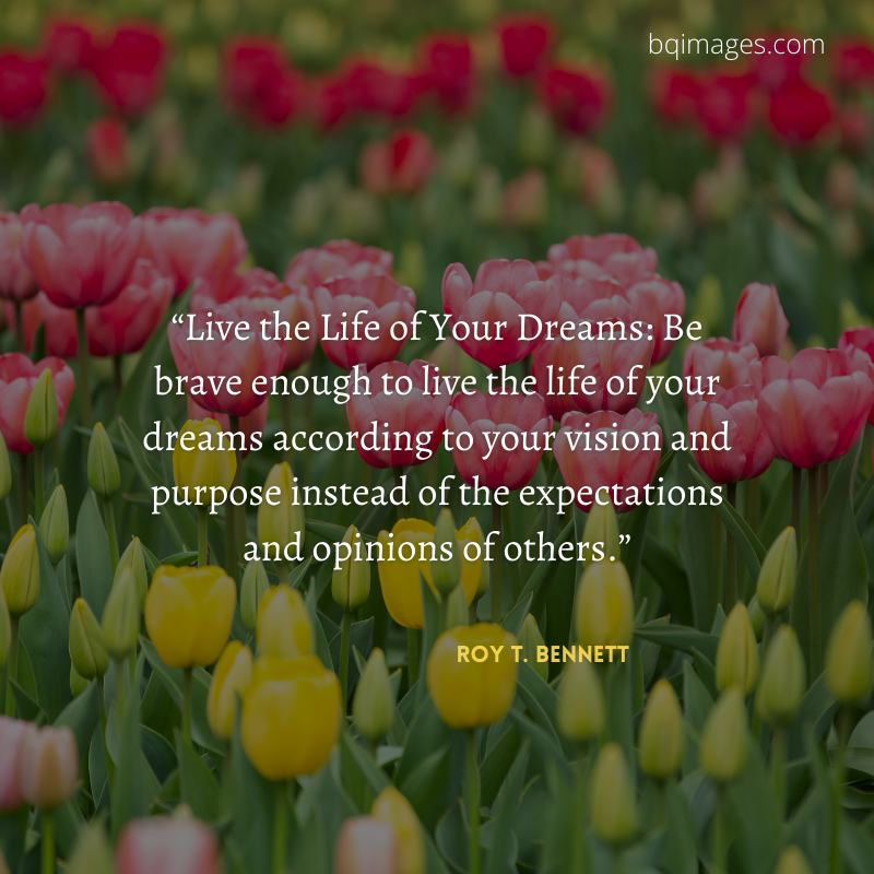 50+ Best Life Quotes In English for WhatsApp DP bqimages Beautiful