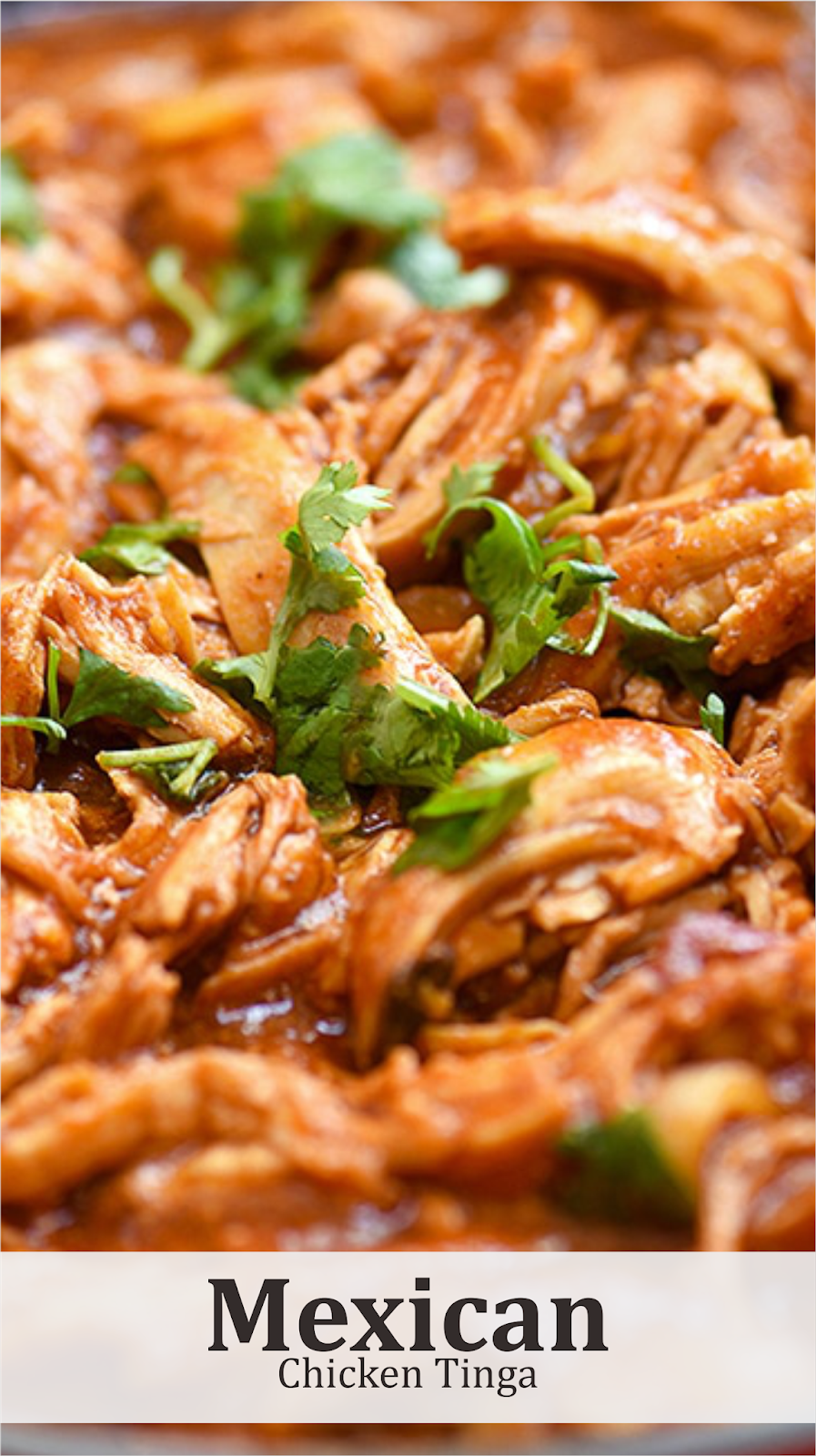 Easy Mexican Chicken Tinga Recipe Spesial Food
