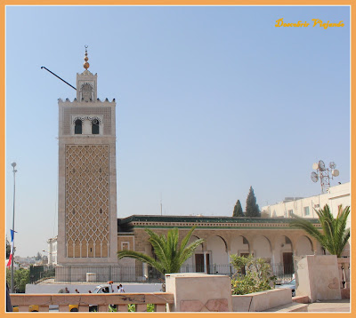um dia em Tunis