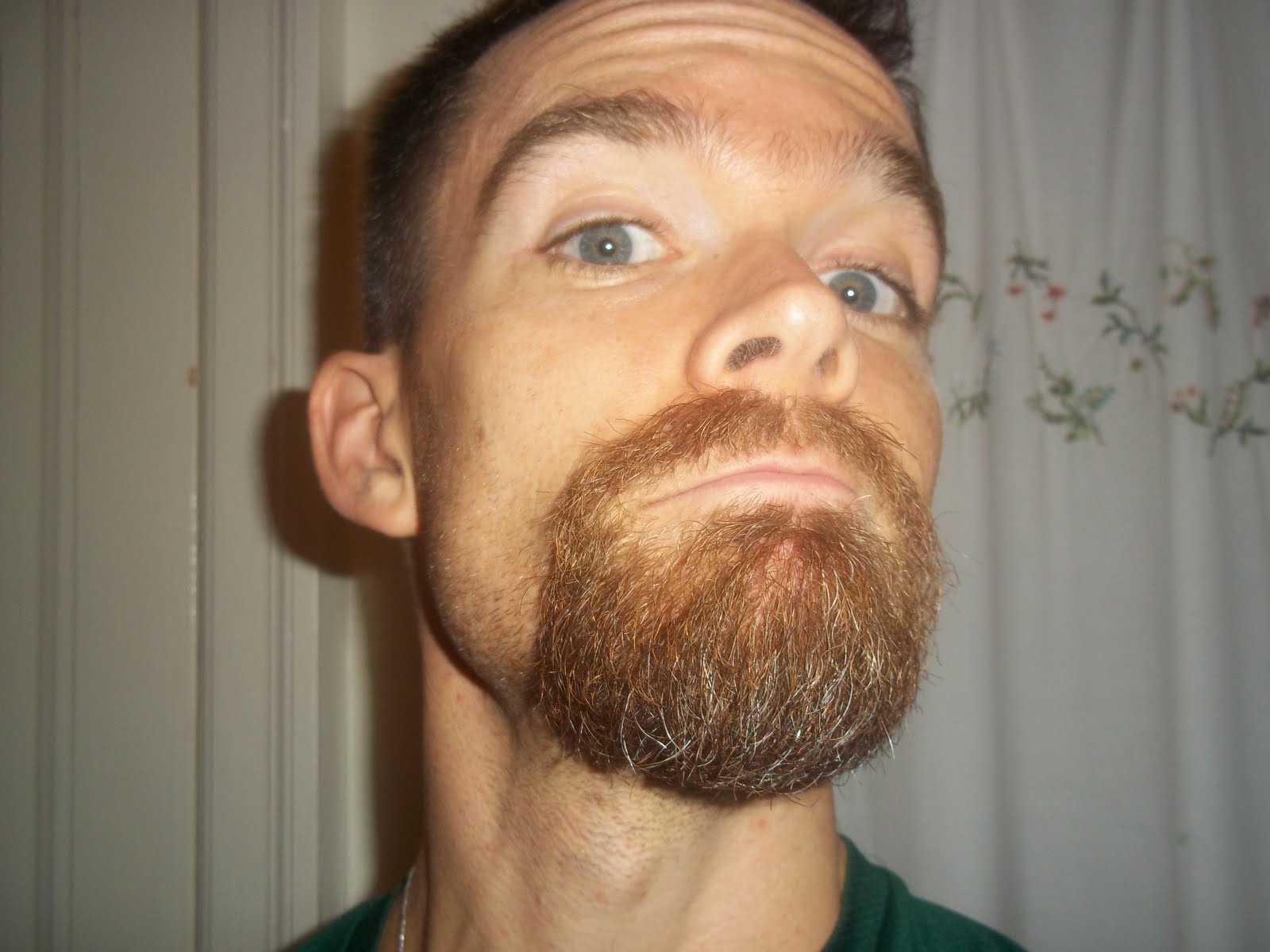 The Beard Blog: 2011