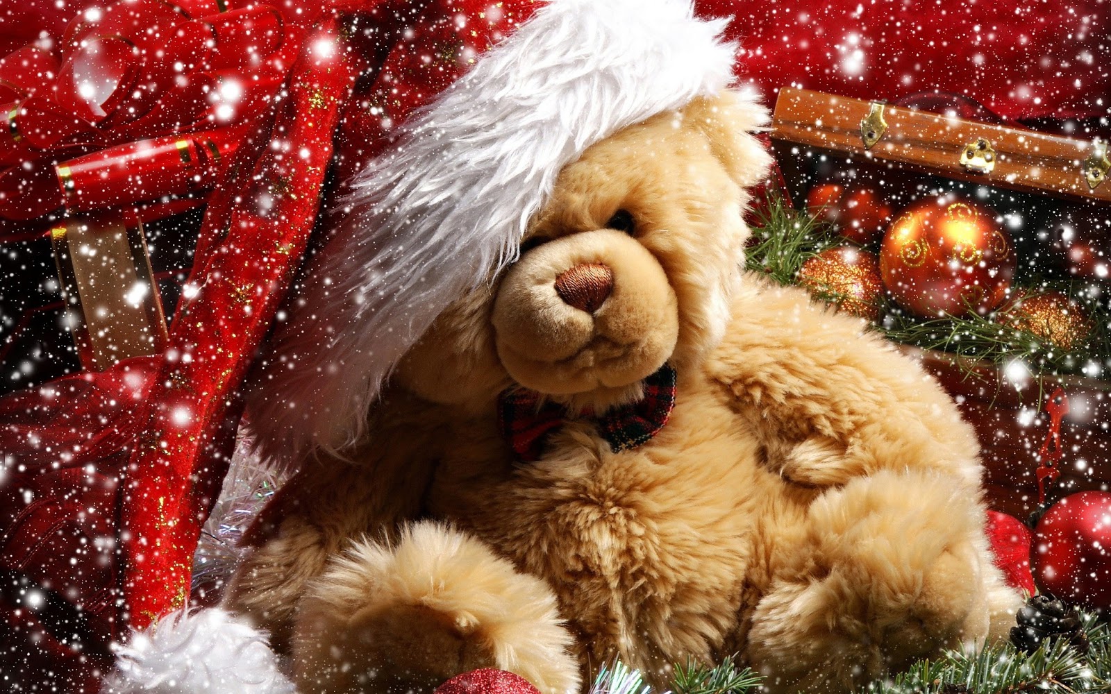 happy Teddy  Day 2021 Teddy  bear  HD  wallpapers  and Quotes