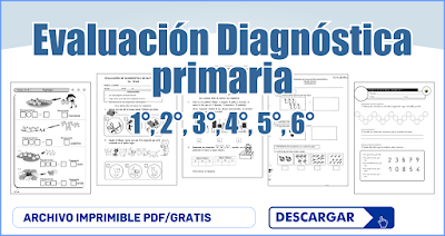 Evaluación Diagnóstica primaria