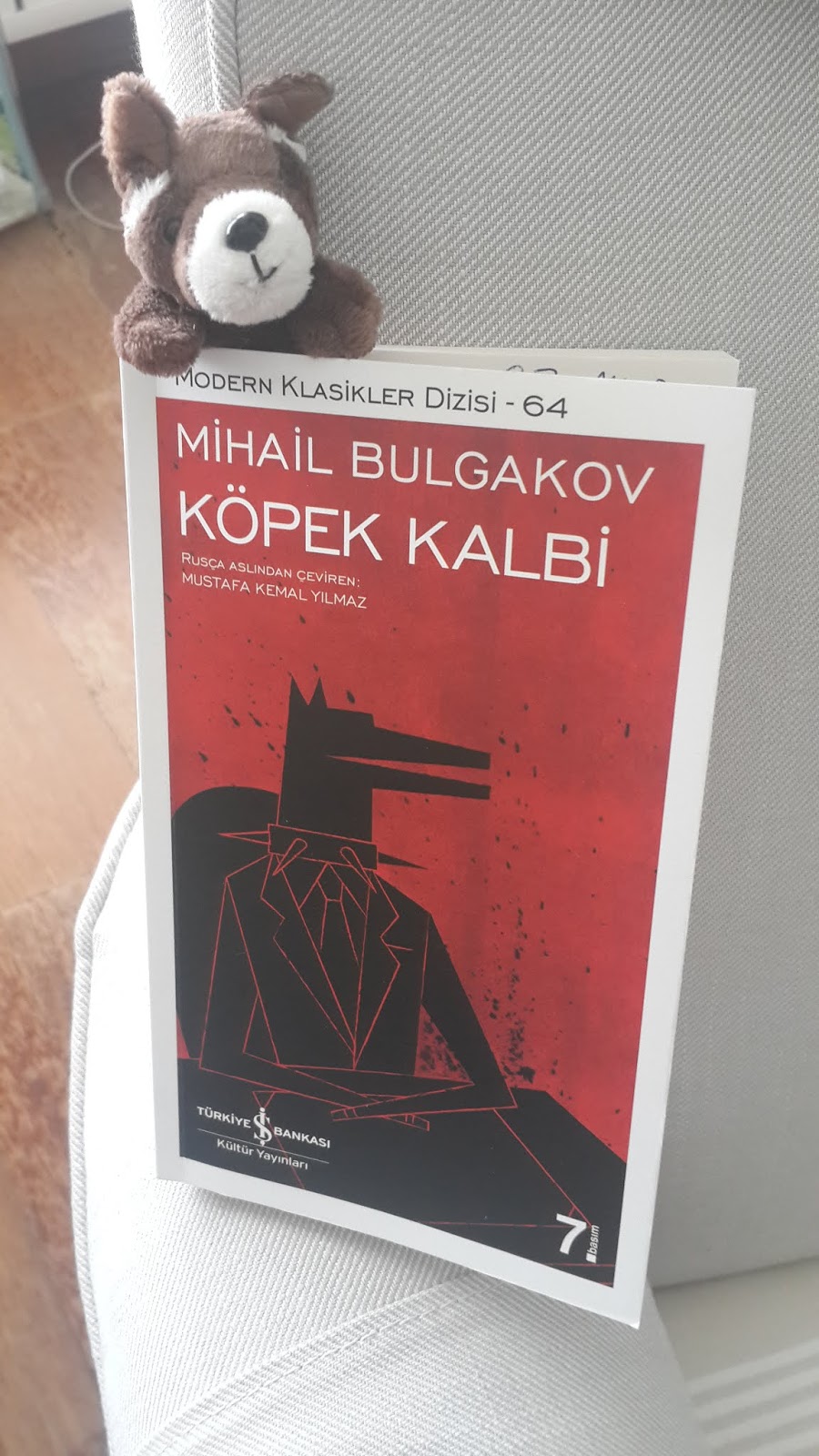 MİHAİL BULGAKOV KÖPEK KALBİ
