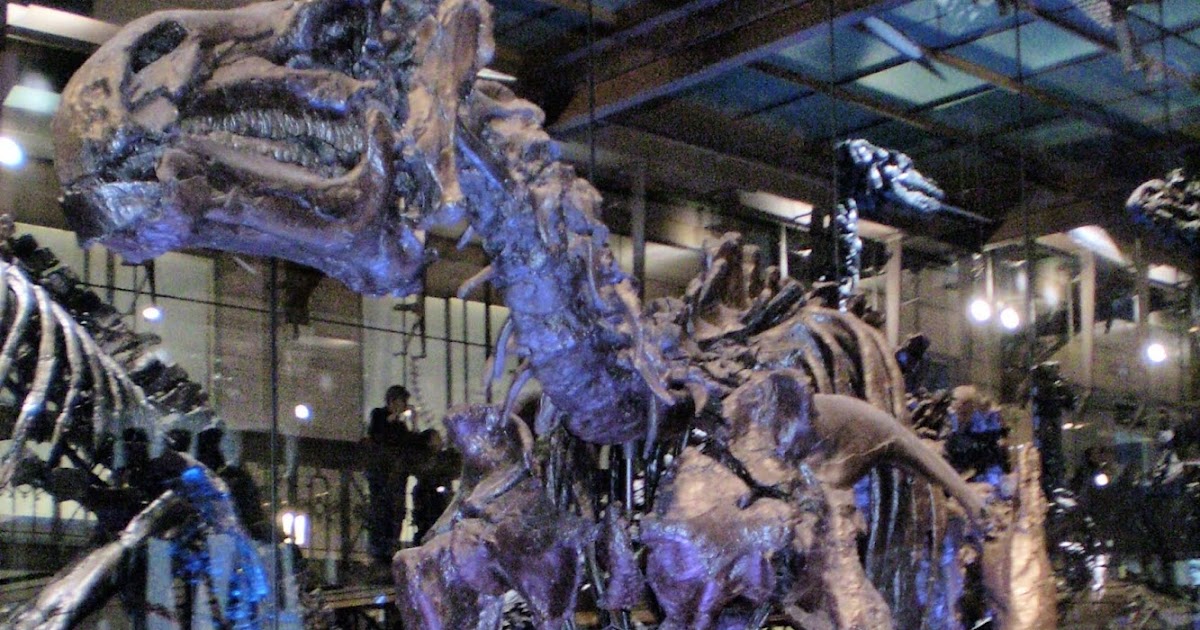 Monumentos de los países de Europa El museo de ciencias naturales (Belgica) Monumentos de los países de Europa El museo de ciencias naturales (Belgica)