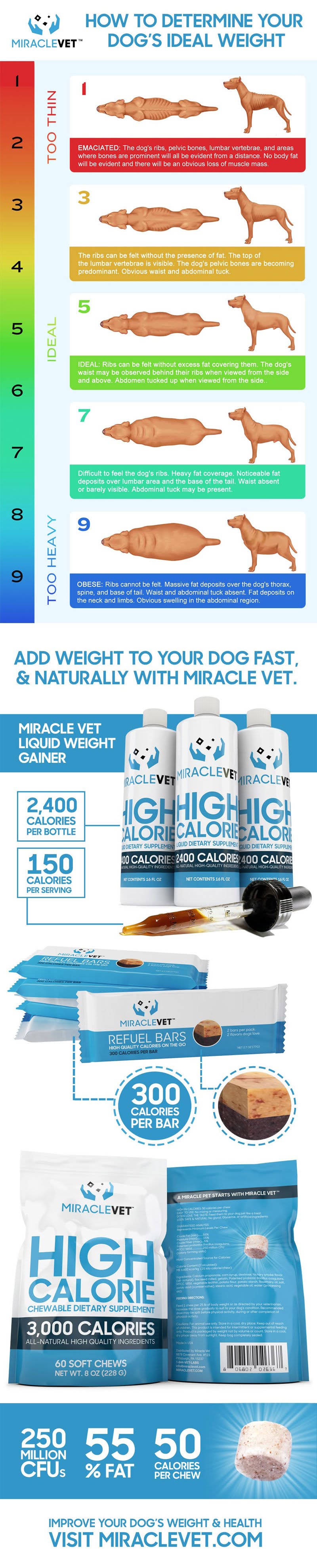 How to Determine Your Dog’s Ideal Weight #infographic