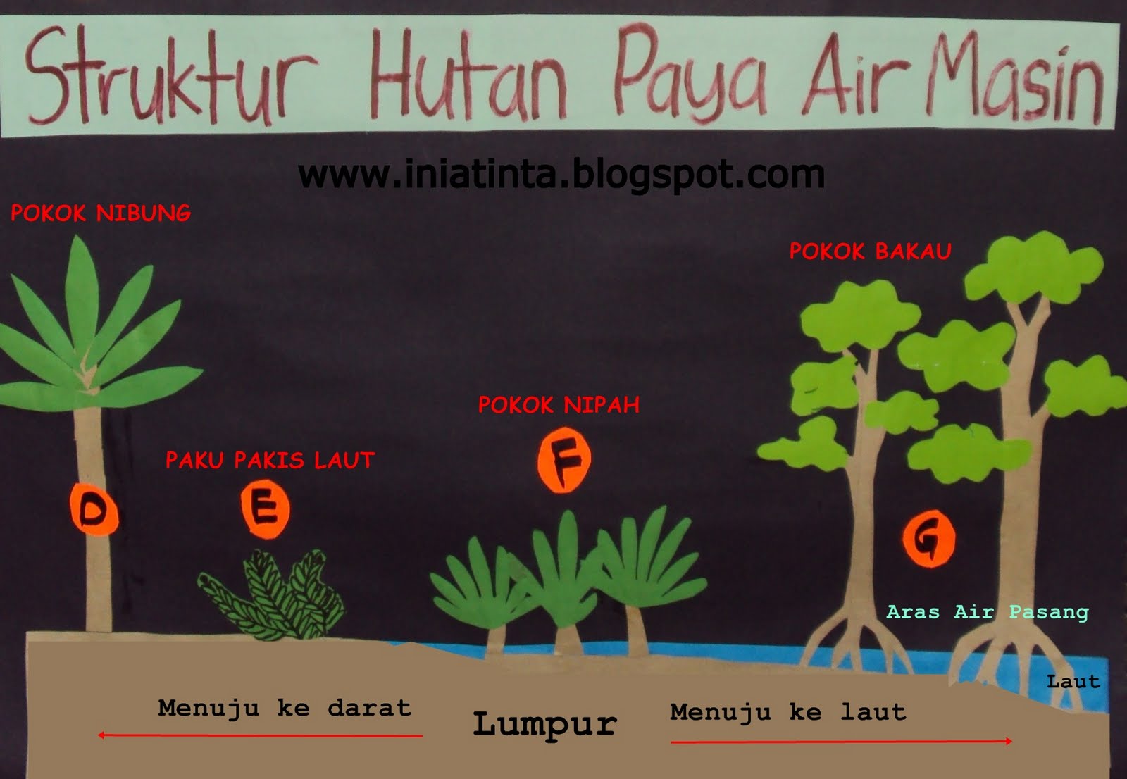 Tintatinta Ilmu HUTAN PAYA AIR MASIN & TAWAR