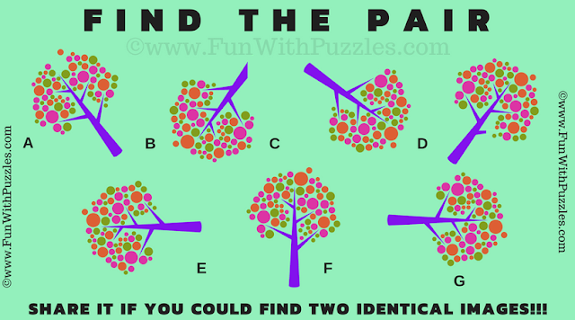 In the Picture Puzzle, your challenge is to find the matching pair among 7 given puzzle images