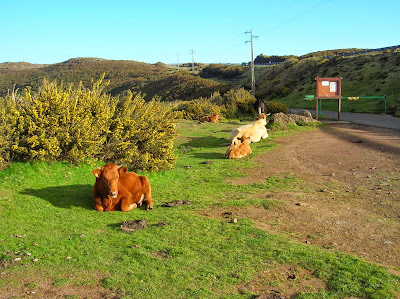 Paul do serra, Madeira, Portugal, La vuelta al mundo de Asun y Ricardo, round the world, mundoporlibre.com