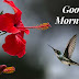 Top 20 Quotes On GOOD MORNING IMAGES