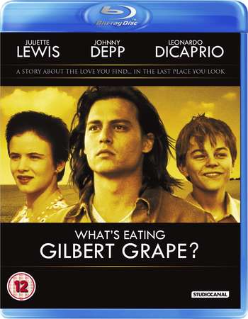 What's Eating Gilbert Grape 1993 English 350MB BRRip 480p ESubs