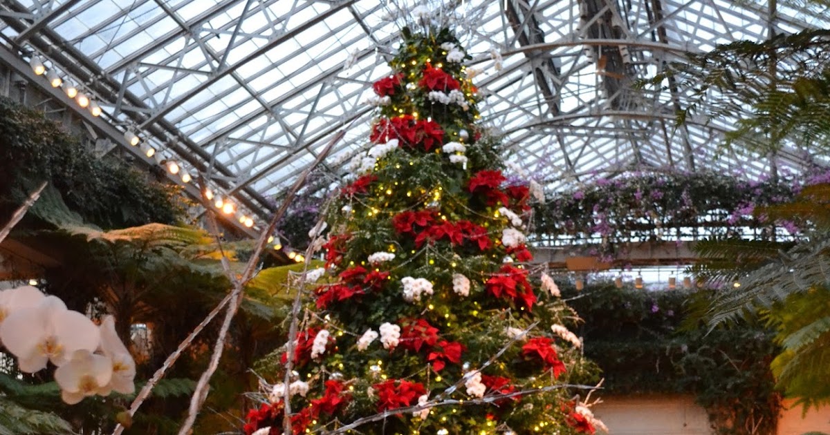 My Paisley World A Stunning Christmas at Longwood Gardens