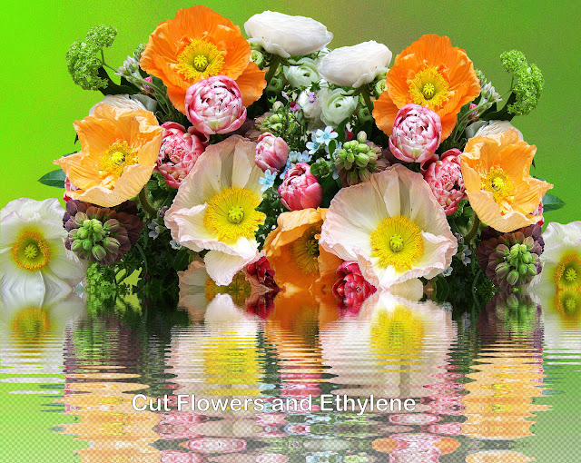 1-bouquet-of-flowers.jpg