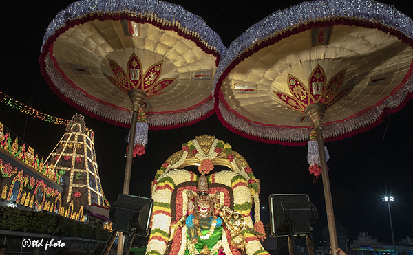 శ్రీవారి బ్రహ్మోత్సవాలకు శాస్త్రోక్తంగా అంకురార్పణ - Ankurarpanam was held as a prelude to annual brahmotsavams on Sunday evening