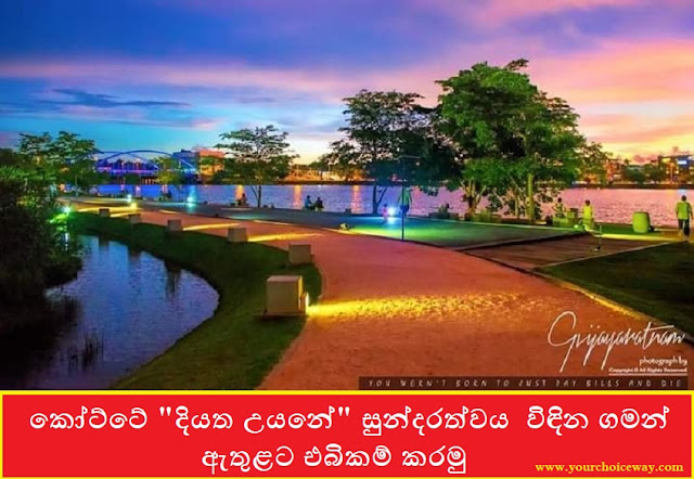 කෝට්‌ටේ "දියත උයනේ" සුන්දරත්වය  විඳින ගමන් ඇතුළට එබිකම් කරමු ❄️🎸🪗 (Diyatha Uyane) - Your Choice Way