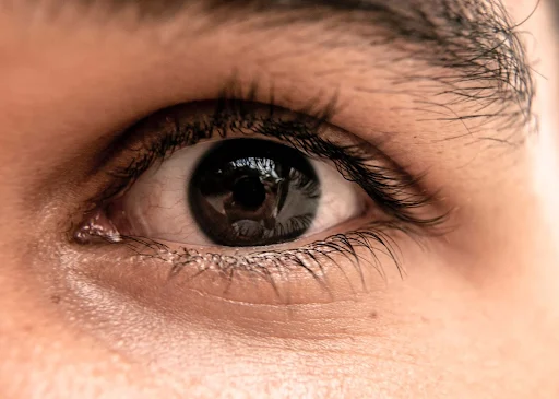 Best Under Eye Creams in India Best Under Eye Creams in India