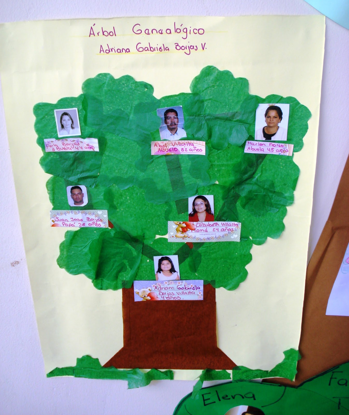 Pre K Family Tree Project