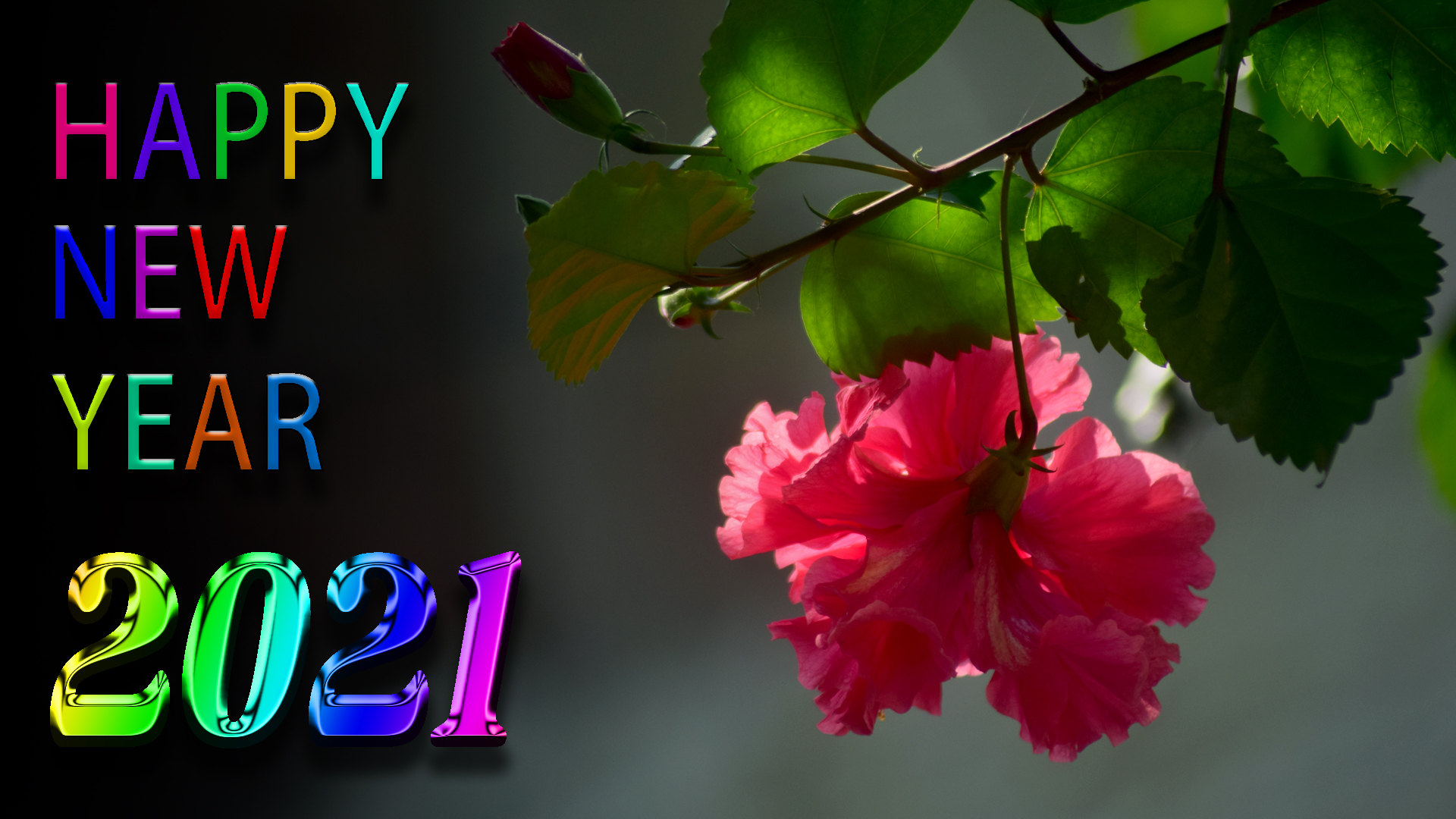 Whatsapp Status 2021 Ka Happy New Year Ka Gana Happy New Year Ka