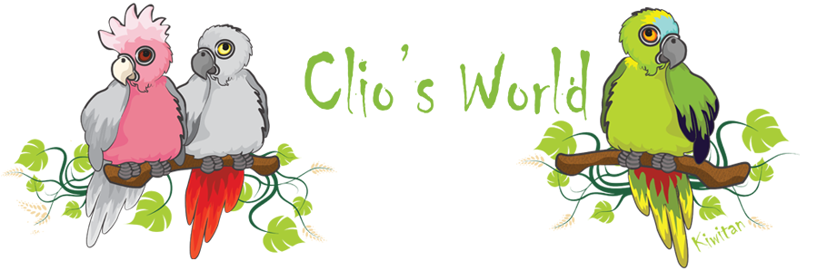 Clio's World
