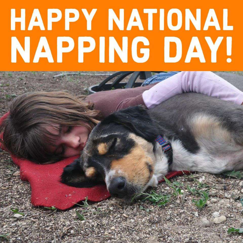 National Napping Day Wishes Unique Image National Napping Day Wishes Unique Image