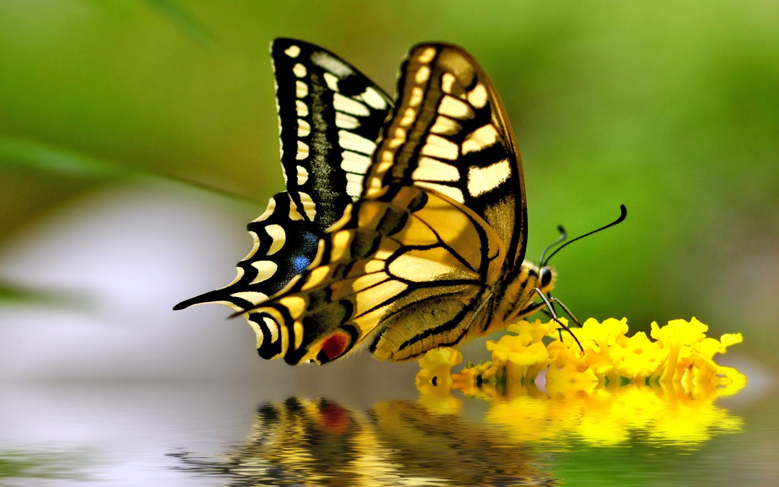 BANCO DE IMÁGENES GRATIS 22 imágenes