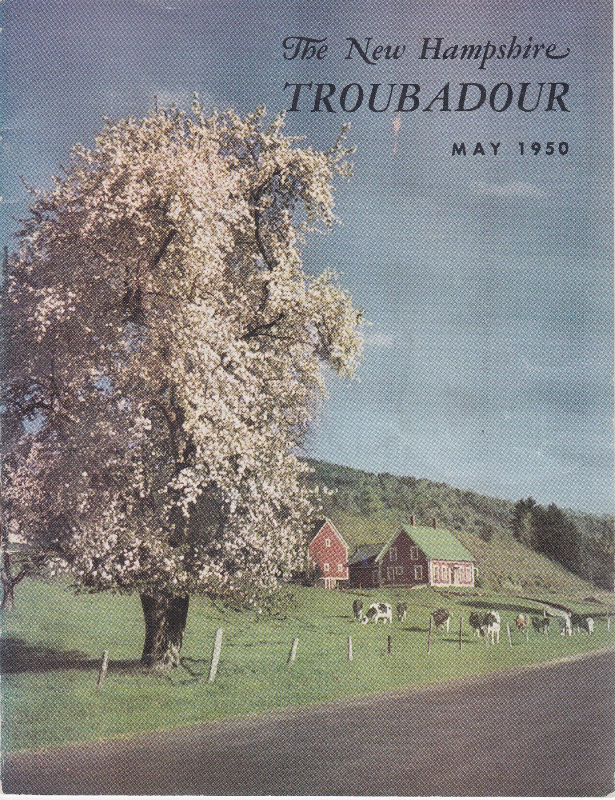 Across My Kitchen Table Poem for a Tuesday in May