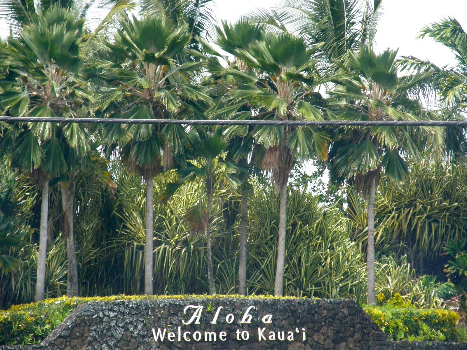 The Robinsons Kauai The Garden Isle