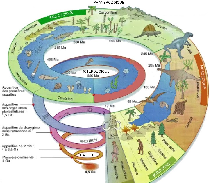 Crapouillotage Échelle des temps géologiques (trâce écrite)