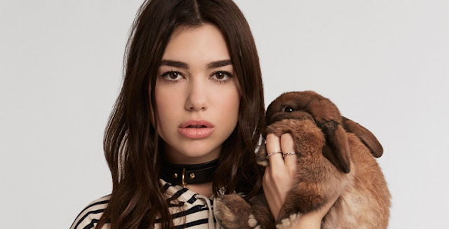 Arti Lirik Lagu Dua Lipa - New Rules - The Half Guy