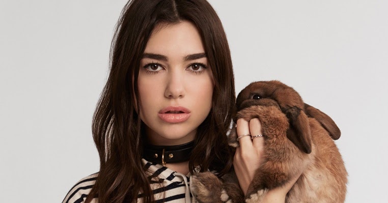 Arti Lirik Lagu Dua Lipa New Rules The Half Guy Arti Lirik Lagu Dua Lipa New Rules The Half Guy