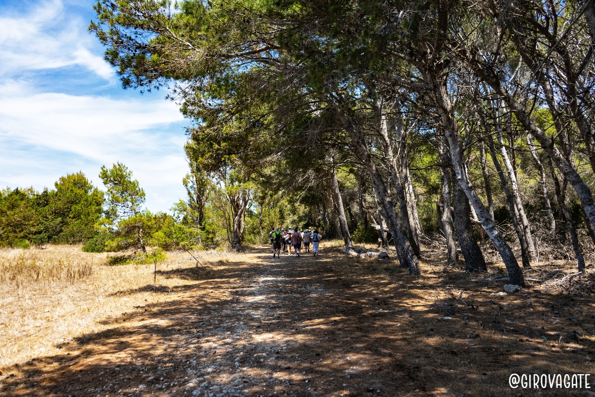 Pianosa trekking Azimut Treks