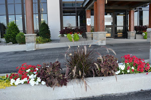 Health Centre Gardens