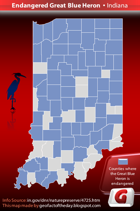 Indiana counties where the Great Blue Heron is endangered