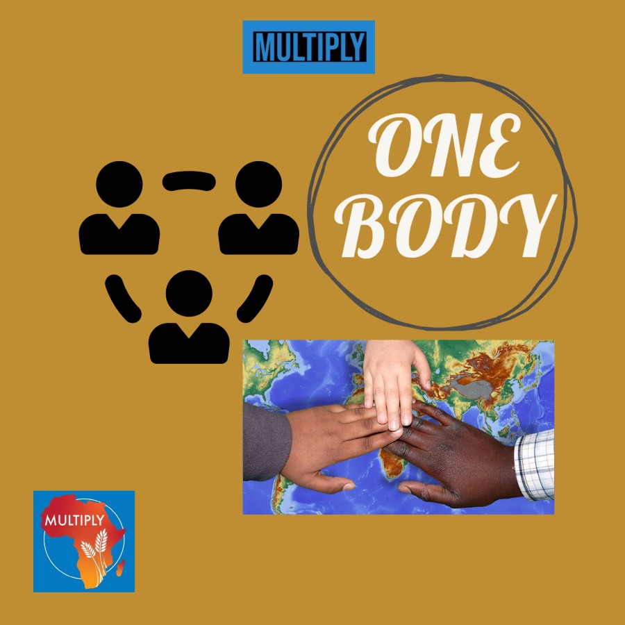 One%2BBody.jpg