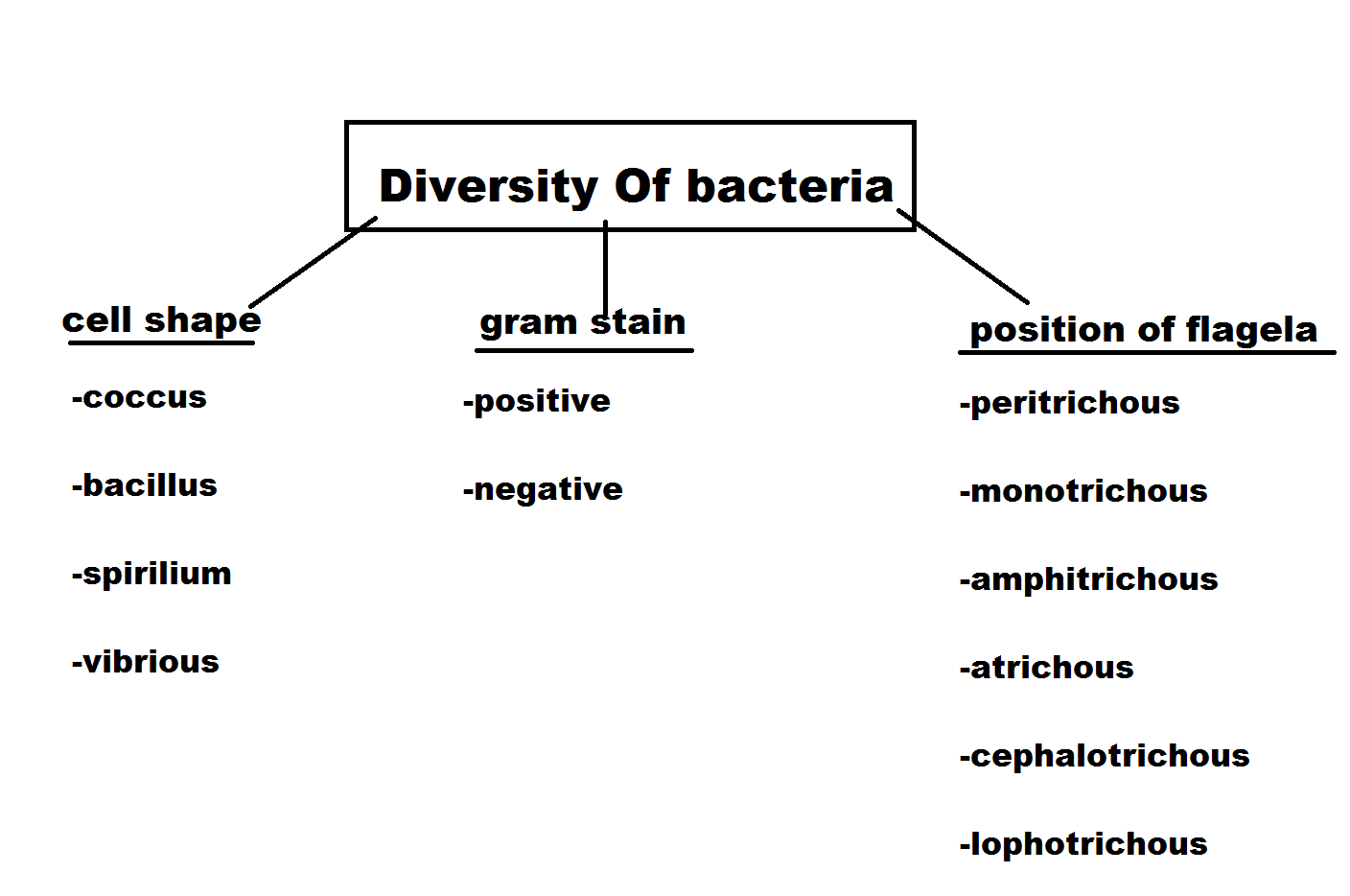 BIOMATRICULATION Diversity of bacteria