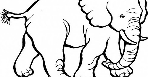 Sketsa Gambar Hewan Gajah Yang Mudah / Cara Menggambar