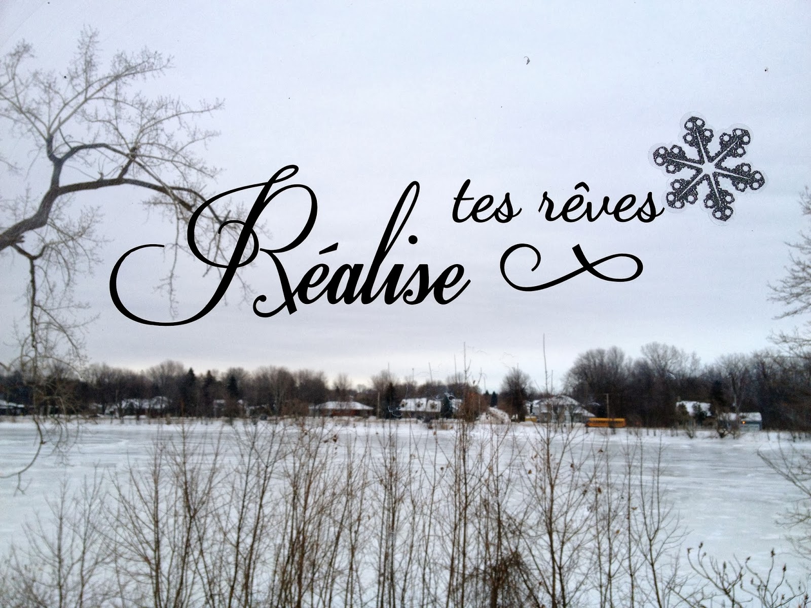 De Tes Reves A Mes Reves Chroniques sympathiques: Réalise tes rêves et crée ta vie.