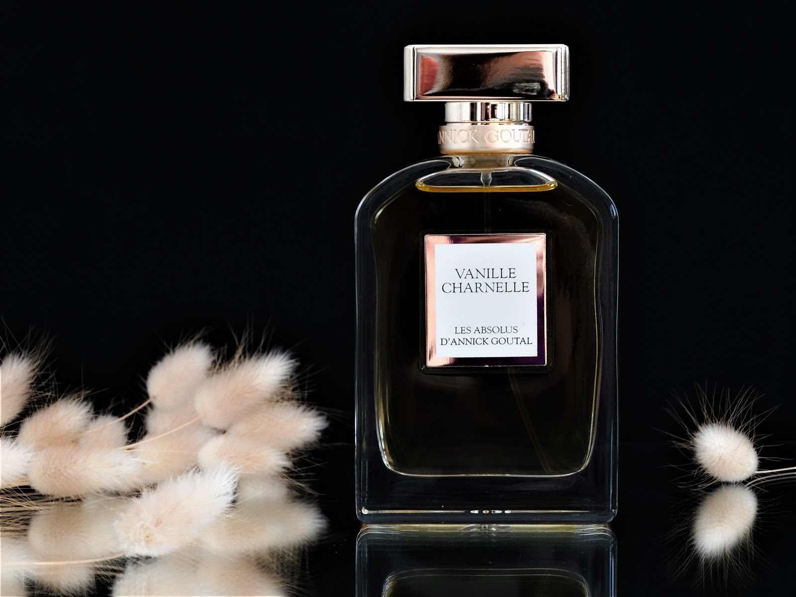 ANNICK GOUTAL VANILLE CHARNELLE [AVIS PARFUM]