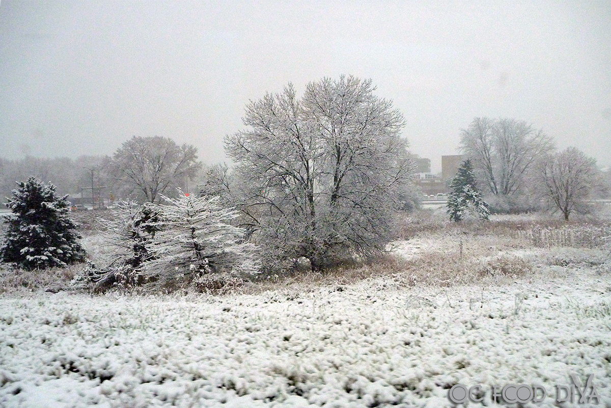 OC Food Diva Road to Johnsonville’s The Sausage Dome The Story Begins