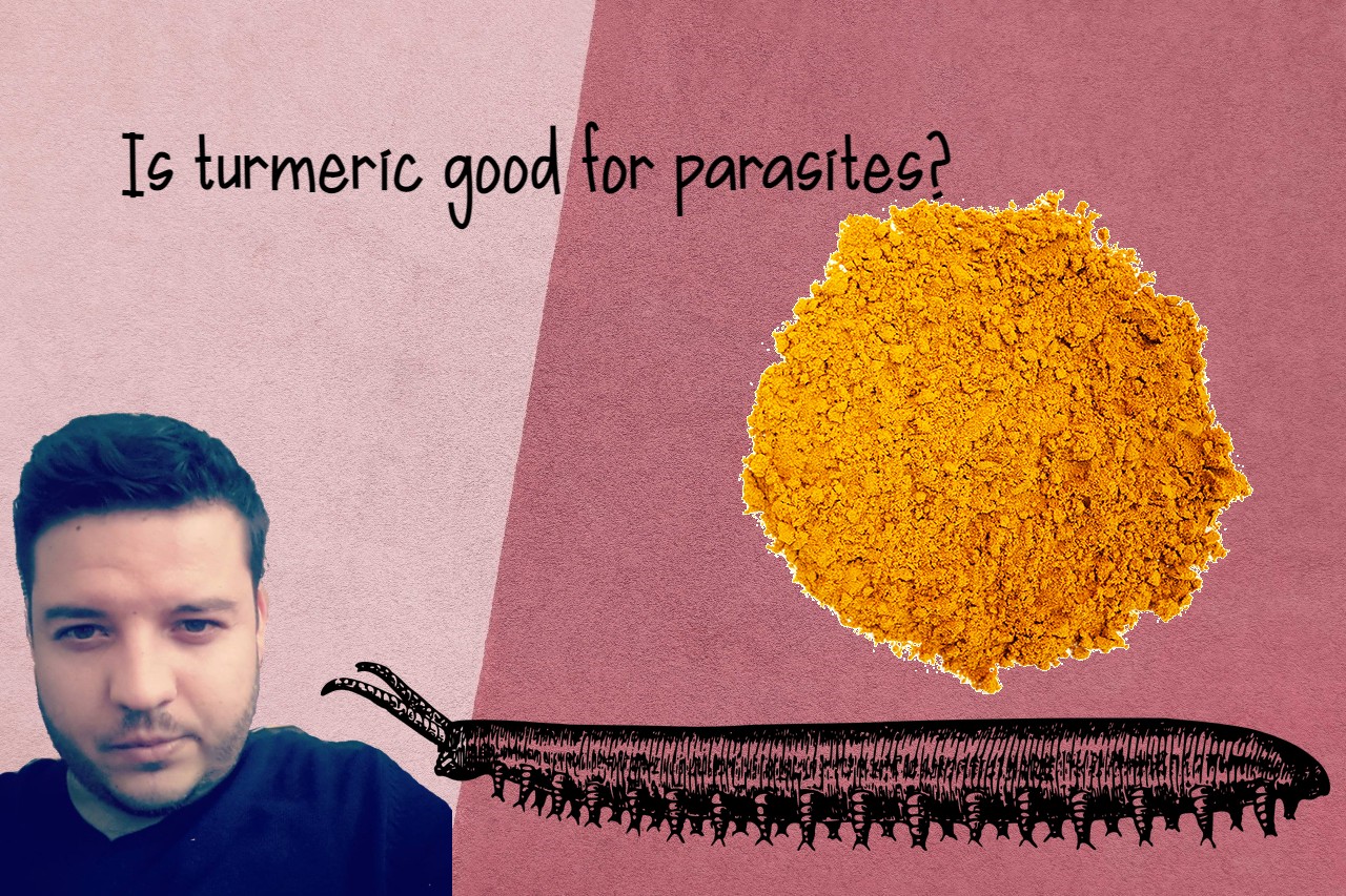 How To Use Turmeric For Worms?
