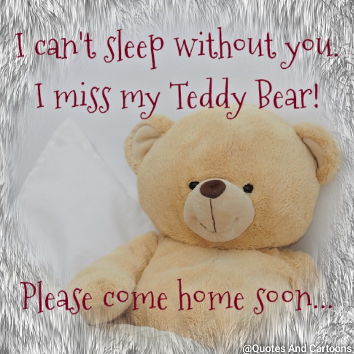 i miss my teddy bear