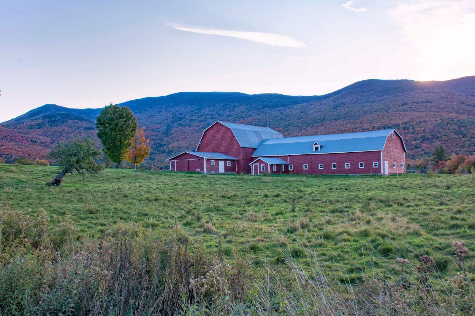 Carol's View Of New England Farm Scene Waterbury Center VT