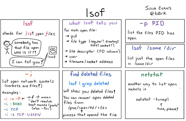 How to use lsof command to find process id for a port in Linux