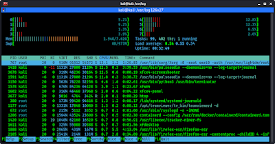 htop en Kali Linux