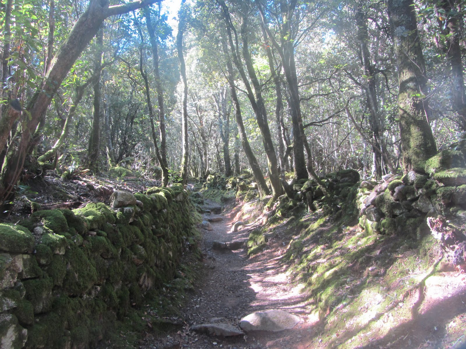 From Maine to Antarctica: CORSICA
