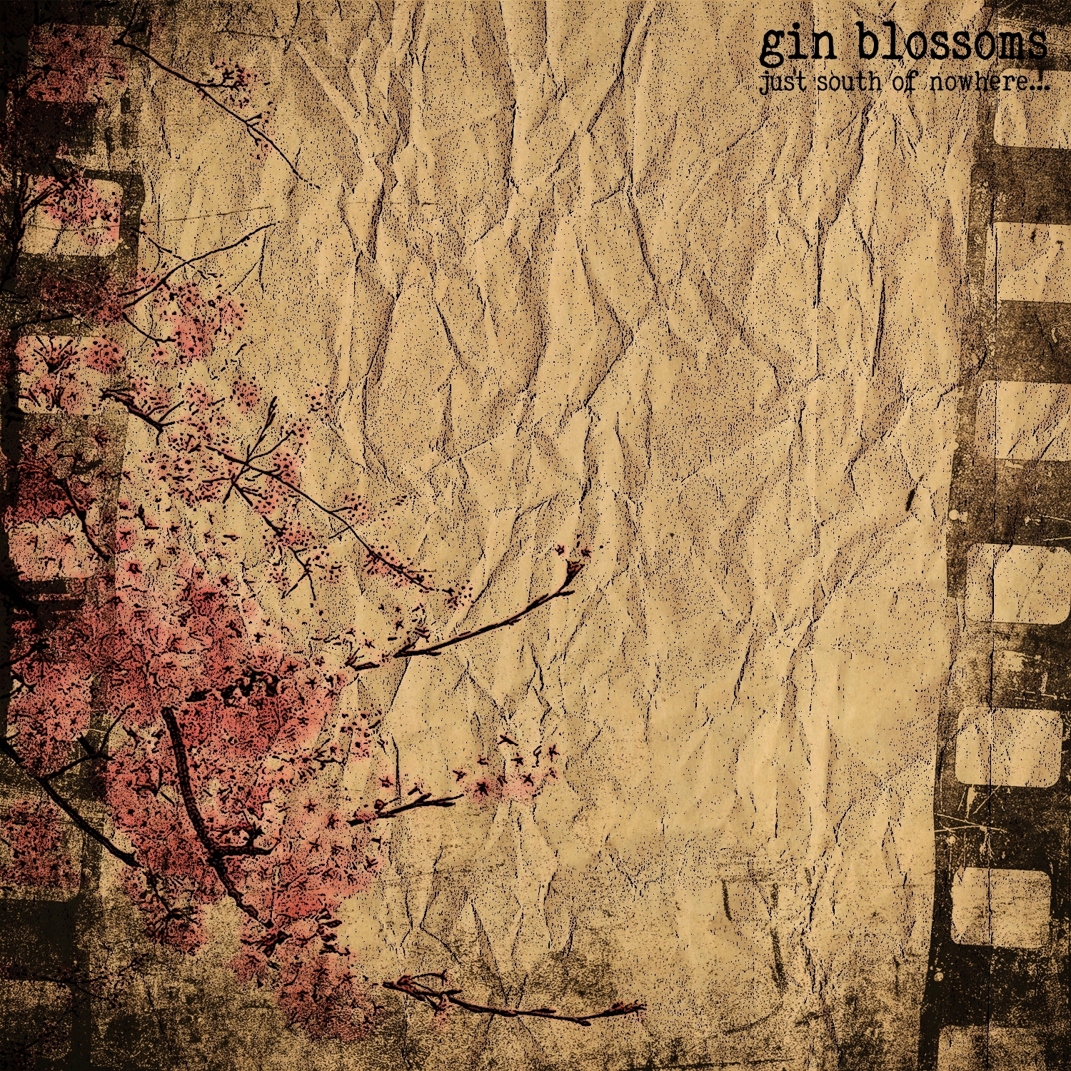 Black Lodge Relics Gin Blossoms Just South Of Nowhere