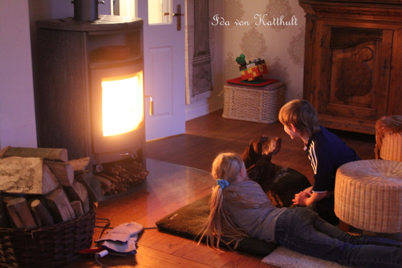 Idas Bloghaus: Vorm Kamin