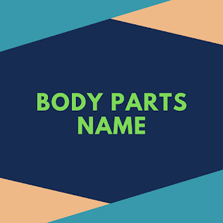 Body Parts Name in Hindi to English , मानव शरीर के अंगो के नाम Hindi to